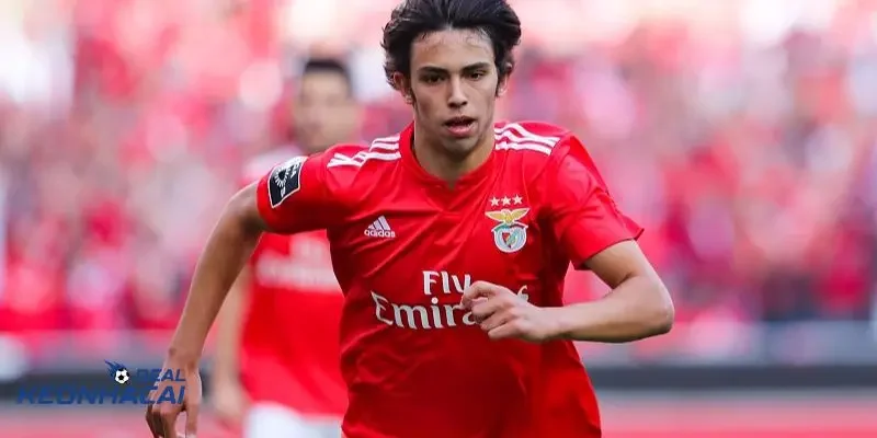 tiểu sử Joao Felix tiểu sử Joao Felix