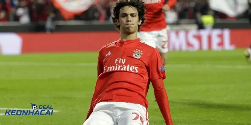 tiểu sử Joao Felix tiểu sử Joao Felix